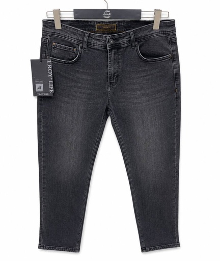 Pantalon jean 381 TROY (34)