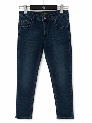 Pantalon jean 529,2 TROY (33)